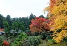 Jikko-in, Ohara, Kyoto