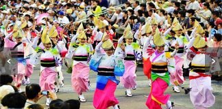 Tokushima Awa Odori Matsuri