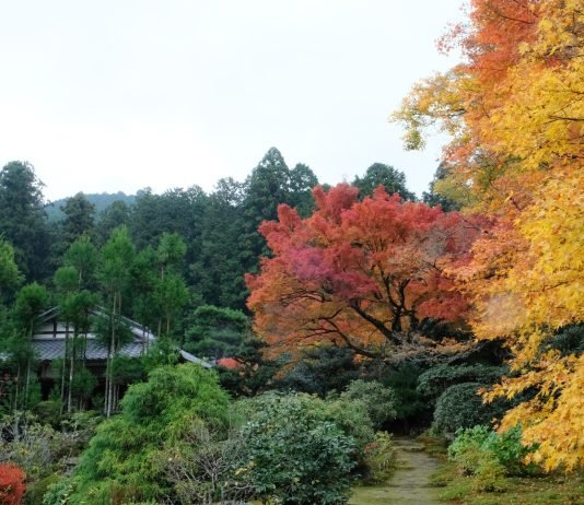 Jikko-in, Ohara, Kyoto