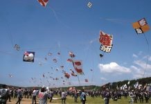 Tako: Layang-Layang Jepang