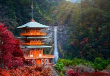Wakayama