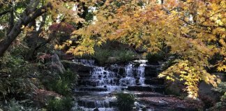 Himeji Castle, Kōko-en
