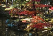 Saihoji (西芳寺, Saihōji)