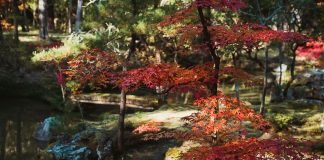 Saihoji (西芳寺, Saihōji)