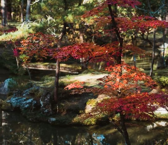 Saihoji (西芳寺, Saihōji)